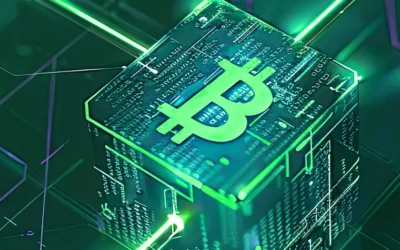 Digital Asset Fund Management: From Wild West to Wall Street Standards