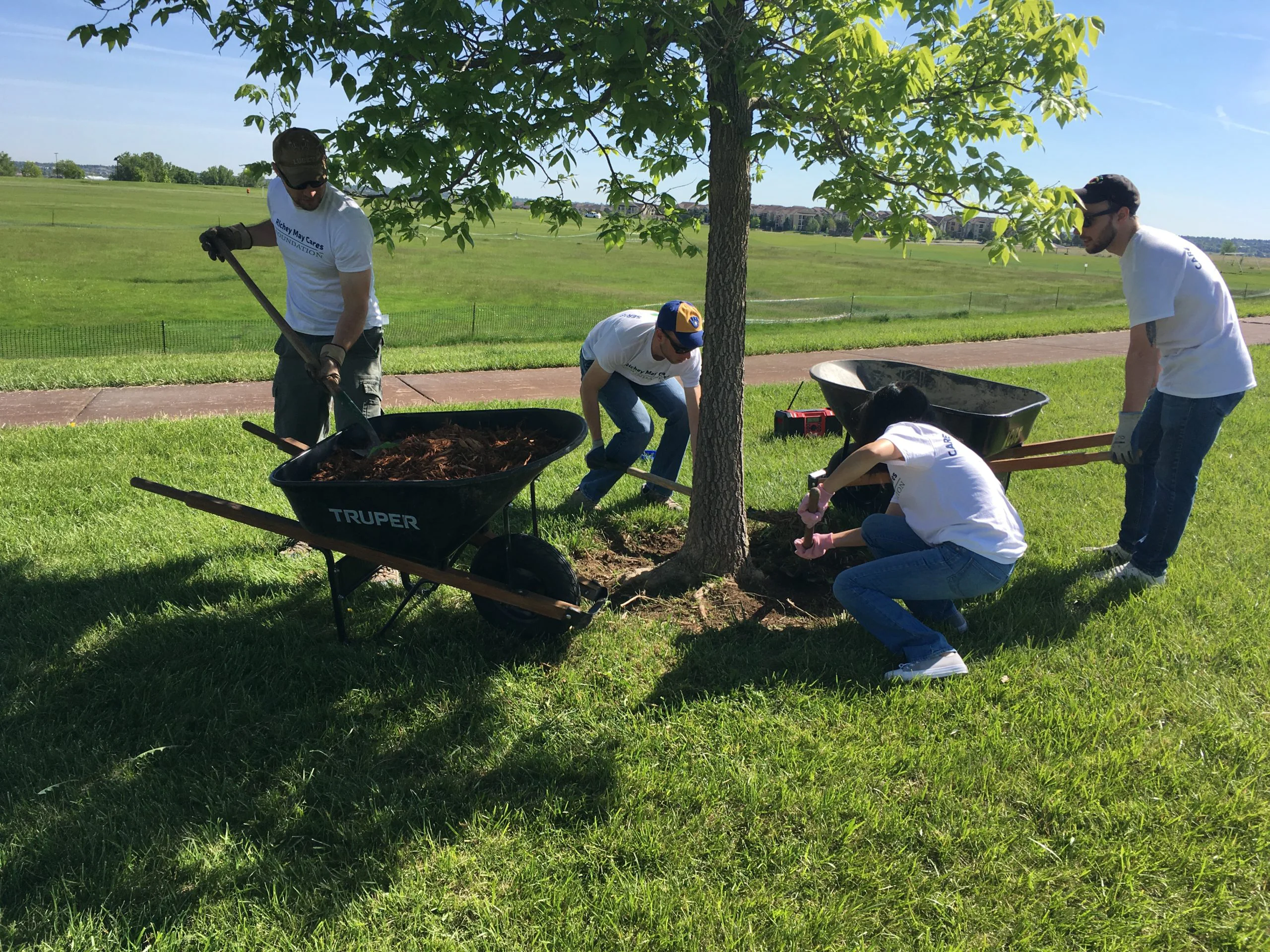 May-2017-128-scaled Giveback Day planting trees