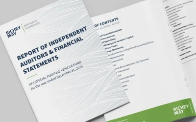 Introducing Our SPV Financial Statement Template