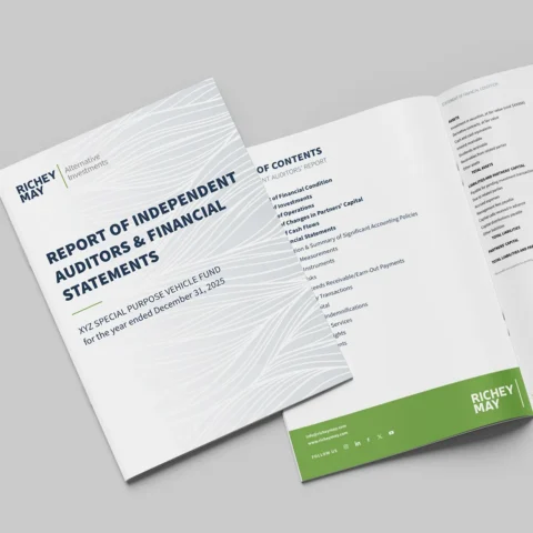 Introducing Our SPV Financial Statement Template